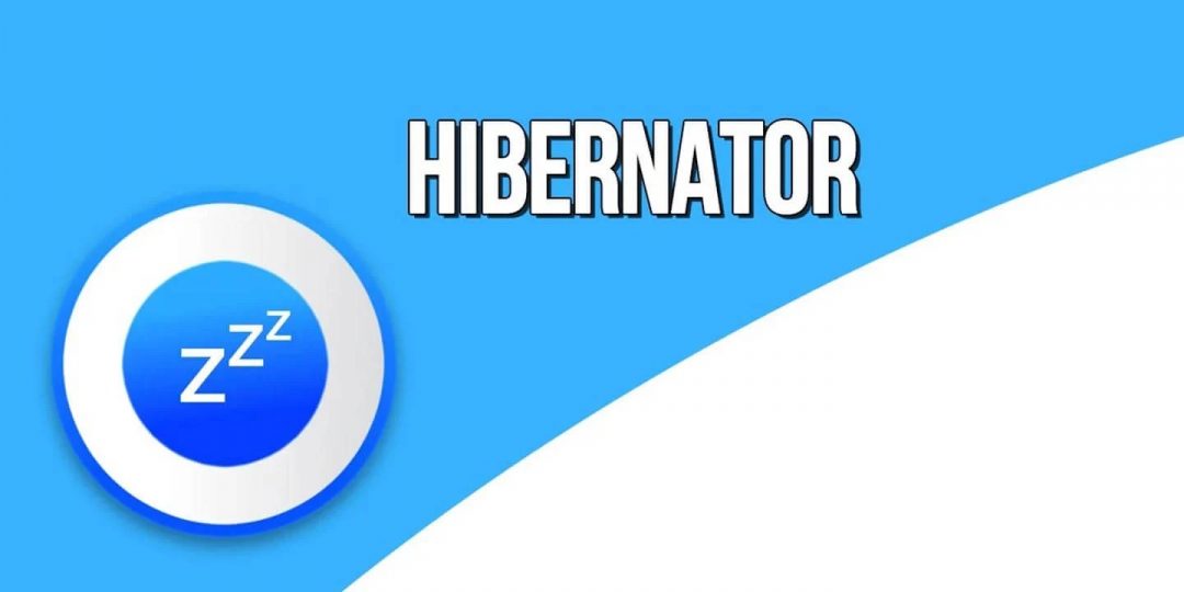 Hibernator APK + MOD (Pro Kilidi Açıq)
