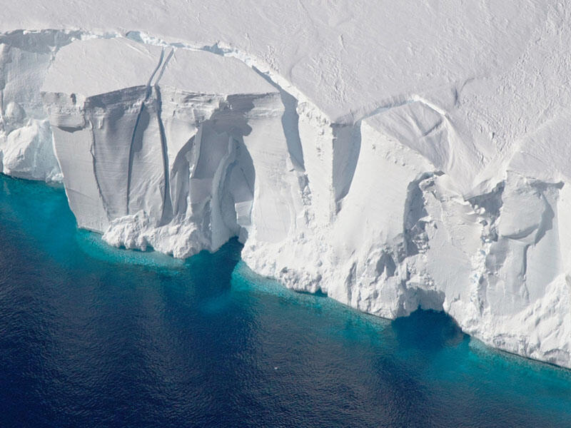 Antarktidada buz şelfinin əriməsi nəyə səbəb ola bilər?