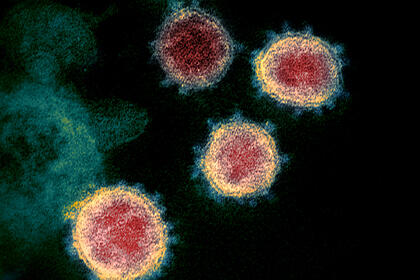 Amerikalı alimlər koronavirusa qarşı dərman TAPDI